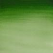 آبرنگ تیوپی کاتمن وینزور/ Hooker's Green Light