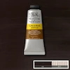 رنگ اکریلیک 60 میل وینزور گالریا/ Burnt Umber