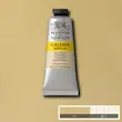 رنگ اکریلیک 60 میل وینزور گالریا/ Buff Titanium