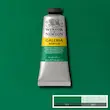 رنگ اکریلیک 60 میل وینزور گالریا/ Permanent
Green Middle