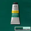 رنگ اکریلیک 60 میل وینزور گالریا/ Permanent
Green Deep