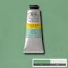 رنگ اکریلیک 60 میل وینزور گالریا/ Pale Olive