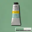 رنگ اکریلیک 60 میل وینزور گالریا/ Pale Olive