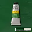 رنگ اکریلیک 60 میل وینزور گالریا/ Sap Green