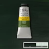 رنگ اکریلیک 60 میل وینزور گالریا/ Olive Green