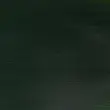 رنگ اکریلیک 60 میل وینزور گالریا/ Olive Green
