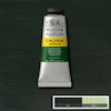 رنگ اکریلیک 60 میل وینزور گالریا/ Hooker’s Green