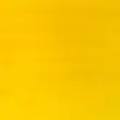 رنگ اکریلیک 60 میل وینزور گالریا/ Cadmium Yellow Medium Hue