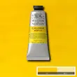 رنگ اکریلیک 60 میل وینزور گالریا/ Cadmium Yellow Medium Hue