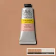 رنگ اکریلیک 60 میل وینزور گالریا/ Pale Rose Blush