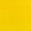 رنگ روغن آرتیست وینزور 898/ Cadmium-Free Lemon  