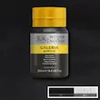 رنگ اکریلیک 250 میل وینزور گالریا/ Ivory Black