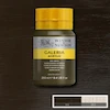 رنگ اکریلیک 250 میل وینزور گالریا/ Raw Umber