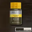 رنگ اکریلیک 250 میل وینزور گالریا/ Raw Umber