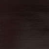 رنگ اکریلیک 250 میل وینزور گالریا/ Burnt Umber