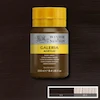 رنگ اکریلیک 250 میل وینزور گالریا/ Burnt Umber