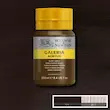 رنگ اکریلیک 250 میل وینزور گالریا/ Burnt Umber