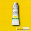 رنگ روغن آرتیست وینزور 898/ Cadmium-Free Lemon  