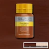رنگ اکریلیک 250 میل وینزور گالریا/ Burnt Sienna