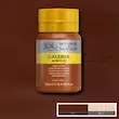 رنگ اکریلیک 250 میل وینزور گالریا/ Burnt Sienna