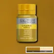 رنگ اکریلیک 250 میل وینزور گالریا/ Yellow Ochre