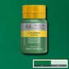 رنگ اکریلیک 250 میل وینزور گالریا/ Permanent Green Middle