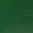 رنگ اکریلیک 250 میل وینزور گالریا/ Sap Green