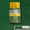 رنگ اکریلیک 250 میل وینزور گالریا/ Sap Green
