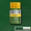 رنگ اکریلیک 250 میل وینزور گالریا/ Sap Green