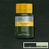 رنگ اکریلیک 250 میل وینزور گالریا/ Hooker’s Green