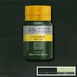 رنگ اکریلیک 250 میل وینزور گالریا/ Hooker’s Green