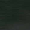رنگ اکریلیک 250 میل وینزور گالریا/ Hooker’s Green