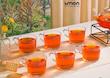 فنجان شیشه ای دسته دار 285 سی سی کد 228200 لیمون
