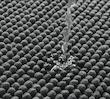 a80ac8070117b62188f4de134e959f73.jpg