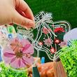 پک 16عددی استیکر بوکمارک شفاف بطری🫙🦋🥀