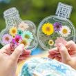 پک 16عددی استیکر بوکمارک شفاف بطری🫙🦋🥀