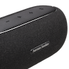 Harman Kardon Luna