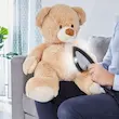 اتو بخارگر تفال مدل QT1510