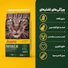 غذای خشک گربه جوسرا مدل NatureCat مناسب سلامت مجاری ادراری، حاوی مرغ و ماهی، بدون غلات، مناسب گربه بالغ و بچه‌گربه بالای 6 ماه، وزن 10 کیلوگرم