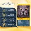 غذای خشک گربه جوسرا مدل Leger کنترل وزن با طعم مرغ وزن 2 کیلوگرم، فیبر 5.8 درصد، رطوبت 0 درصد