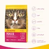 غذای خشک گربه عقیم‌شده جوسرا Indoor مناسب فعالیت کم طعم مرغ وزن 2 کیلوگرم پروتئین 30 درصد مواد معدنی 10 درصد حاوی تورین امگا 3 و امگا 6 و ویتامین C و ویتامین E