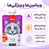 پودینگ گربه ونپی مدل Duck وزن 90 گرم، مناسب همه نژادها، کمک به سلامت دستگاه گوارش و دفع گلوله مویی، تقویت سیستم ایمنی و سلامت دندان، مناسب بالای 4 ماه، ساخت هلند