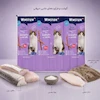 غذای تشویقی گربه وینستون مدل مدادی استیک طعم ماهی سالمون و قزل‌آلا بدون غلات، شکر و طعم‌دهنده‌های مصنوعی، کمک به دفع گلوله مویی و بهبود سلامت دستگاه گوارش و دندان، وزن ۱۰ گرم، یک عدد