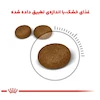 غذای خشک گربه رویال کنین مدل Hair and Skin Care مراقبت از پوست و مو وزن 2 کیلوگرم