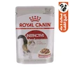 پوچ گربه رویال کنین مدل Instinctive وزن 85 گرم