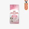 غذای خشک بچه گربه رویال کنین Kitten با پروتئین مرغ، مناسب گربه نژاد بریتیش، وزن 2 کیلوگرم، فیبر 2 درصد، چربی 25 درصد، مواد معدنی 7 درصد