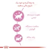 غذای خشک گربه عقیم شده رویال کنین مدل Regular Sterilised وزن 2 کیلوگرم