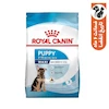 مکسی پاپی ژرمن رویال کنین ۴ کیلو 