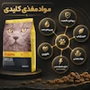 غذای خشک گربه جوسرا کتلوکس مناسب سلامت پوست و مو Josera Catelux