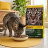 غذای خشک گربه جوسرا نیچرکت مناسب سلامت مجاری ادراری Josera NatureCat
